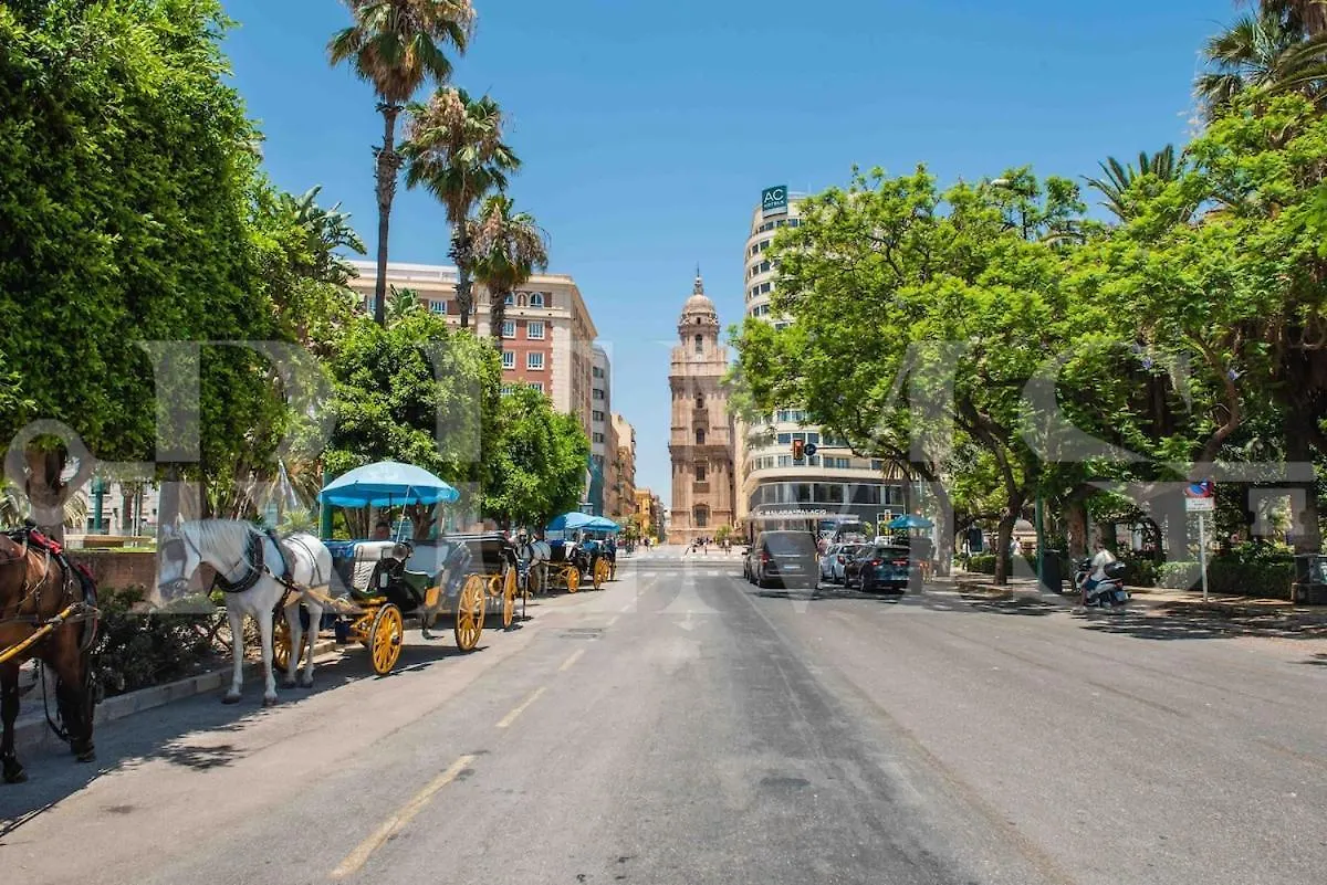 Exclusive Apartment In The Centre With Parking Rems Μάλαγα Ισπανία